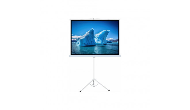 ART HAND-HELD SCREEN ON A TRIPOD 96inch 146x195cm TA-96 4:3