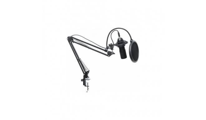 ART CONDENSER MICROPHONE ON A BOOM WITH MEMBRANE AC-03 USB