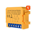 Smart socket switch WiFi Avatto DMS16-2 TUYA
