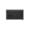 Monitor 65UM5N-H 500cd/m2 UHD 24/7