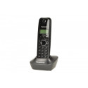 KX-TG1611 Dect/Black