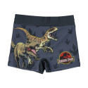 Boys Swim Shorts Jurassic Park Dark grey - 5 Years