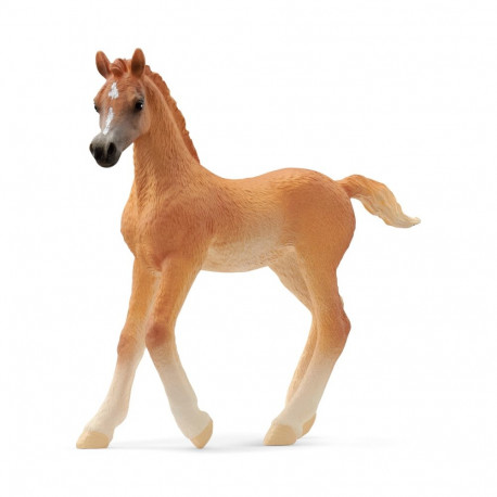 SCHLEICH HORSE CLUB Arab foal