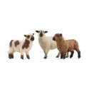 SCHLEICH FARM WORLD figuuride komplekt lambasõbrad