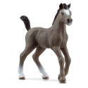 SCHLEICH HORSE CLUB Французский верховой жеребенок