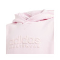 Adidas Allszn Gfx HD Jr sweatshirt IN2844 (140cm) Adidas Allszn Gfx HD Jr sweatshirt IN2844 (140cm)