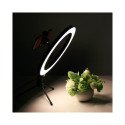CP 6x LED Selfie 16cm Gredzena Lampa ar galda statīvu USB Barošanu