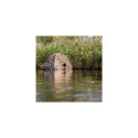 Buteo Photo Gear Camouflage Net 4 Reed/Grass 1.5x3 m