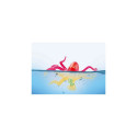 Figures set Princess Magic 71503 Mermaid with Colour-Changing Octopus
