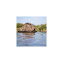 Buteo Photo Gear Floating Hide Grebe