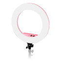 Caruba Round Vlogger 18 inch LED Set PRO met Tas Roze