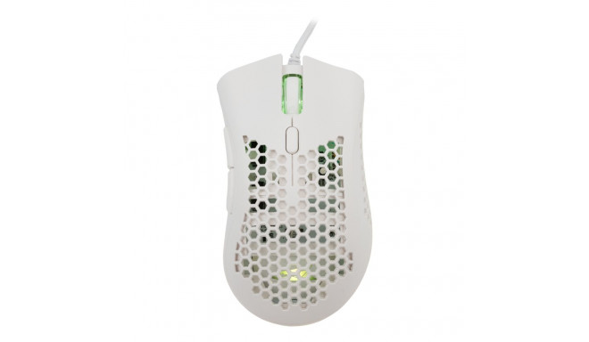 Baracuda CORAL-W BGM-032, White