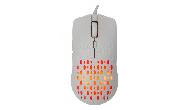 Baracuda OCTOPUS BGM-022, White