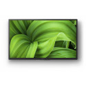 Televizorius SONY KD32W800P1AEP