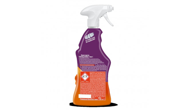 Cleaning agent CILLIT Bang scale and rust remover 750ml spray bottle