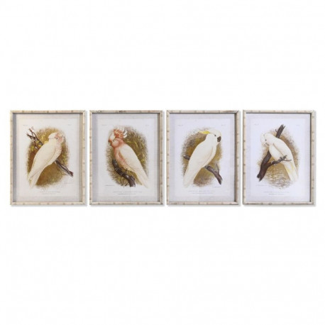 Kangas DKD Home Decor 50 x 2,8 x 65 cm 50 x 65 x 2.8 cm Papagoi Cottage (4 Tükid, osad)