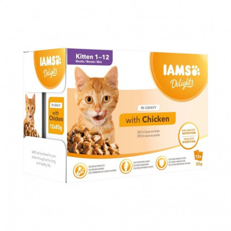 IAMS Delights Kitten Chicken in gravy - wet cat food - 12 x 85g