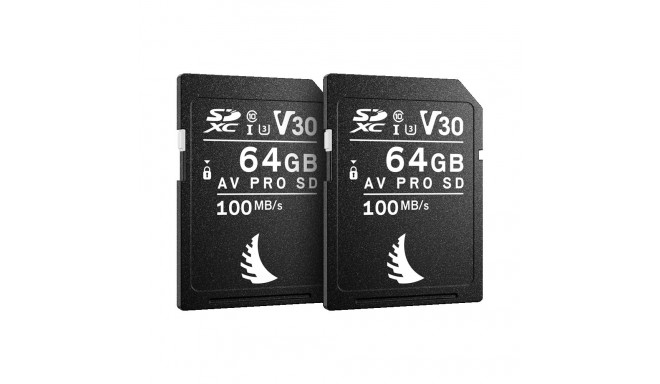 ANGELBIRD SD MATCH PACK FOR FUJIFILM AV PRO V30 64 GB | 2 PACK