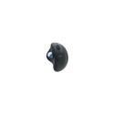 Logitech MOUSE USB OPTICAL WRL ERGO/M575 910-005872 Black