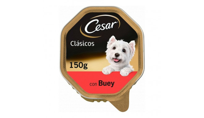 Wet food Cesar (150 g)