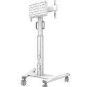 TV Statīvs Neomounts FL50S-825WH1 70 Kg
