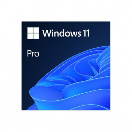MS ESD Windows Professional 11 64-bit kõik keeled võrgus tootevõti litsents 1 litsents allalaetav ES