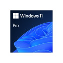 MS ESD Windows Professional 11 64-bit All Languages Online Product Key License 1 License Downloadabl