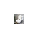High raising toilet seat with flap