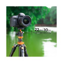 K&F Concept K254A3 tripod with BH-28L ball head