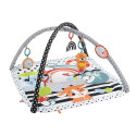 Fisher-Price Animal Lovers Contrast Play Mat Play Arch/Blanket