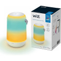 WiZ Mobile Portable Light, LED Light (White)