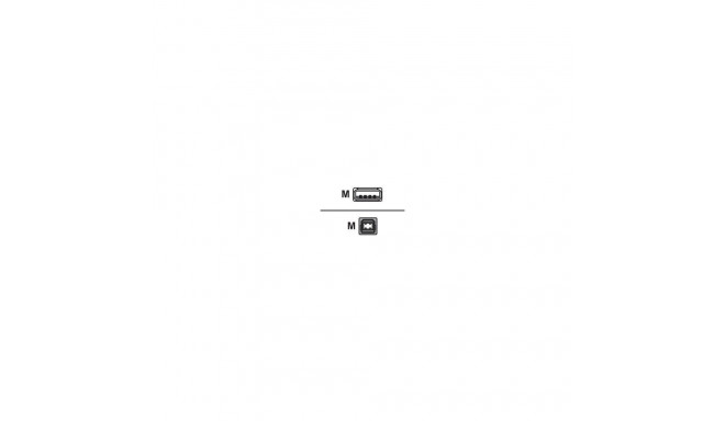 USB 2.0 Kabel, USB-A Stecker > USB-B Stecker (schwarz, 1,0 Meter)