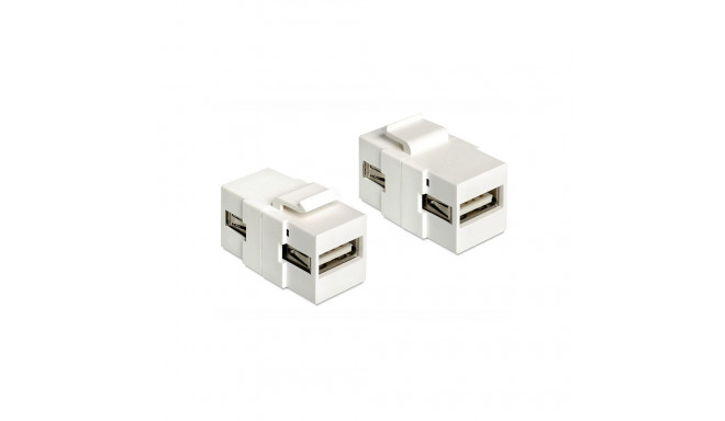 Delock Keystone Module USB 2.0 A female > USB 2.0 A female white