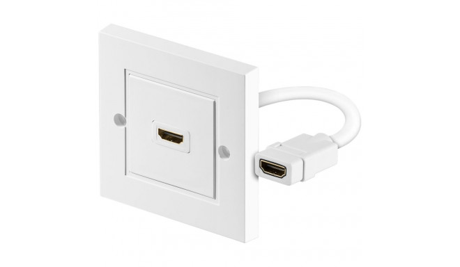 HDMI Wall Plate