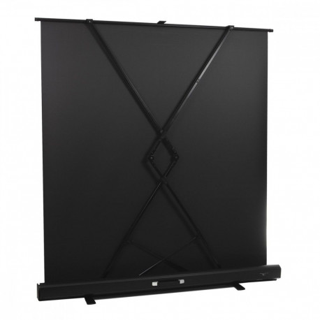 Portable projection screen 86 inch MC-963