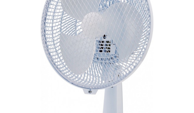 Desk fan STF21