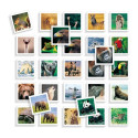 Образовательный набор Diset Memo Photo Animales 54 Предметы