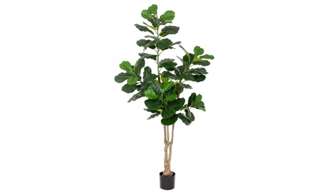 Decorative Plant Polyurethane Cement Fig Tree 175 cm