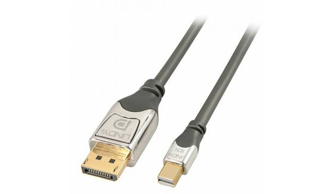 Mini DisplayPort-DisplayPort Adapter LINDY 36311 Hall 1 m