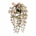 Dekoratiivne Taim Mica Decorations Ceropegia Woodii 10 x 46 x 12 cm Kunstlik Riputamiseks