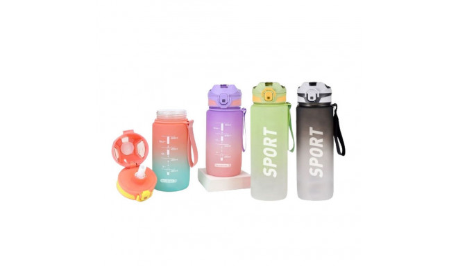 Bottle with Lid and Straw Bewinner Multicolour 600 ml