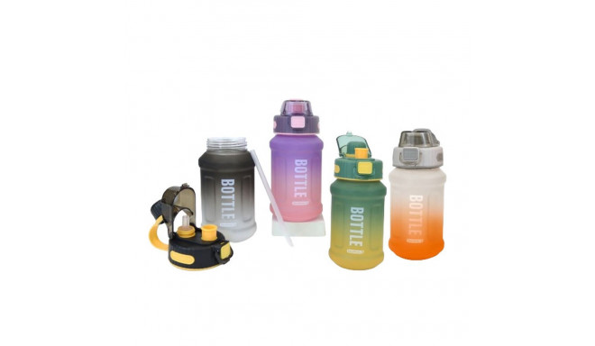 Bottle with Lid and Straw Bewinner Multicolour 800 ml