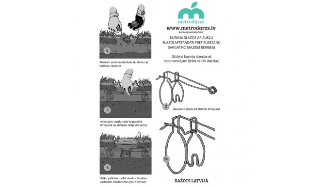 Mooli lõks Metrodarz
