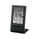 Hama TH-100 black - Thermometer