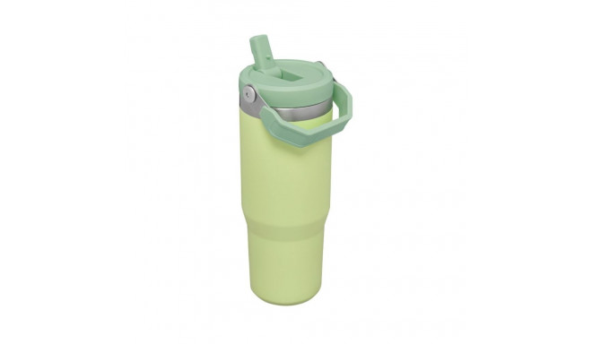 Stanley Thermal bottle with straw The IceFlow Flip Straw Tumbler 0 89L air green 2809993197