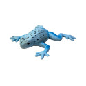Rep Pals, Blue Poison Arrow Dart Frog