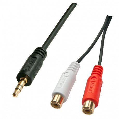3.5mm (M) - 2xRCA (F) kaabel 0.25m, must