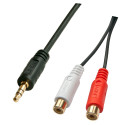 3.5mm (M) - 2xRCA (F) kaabel 0.25m, must