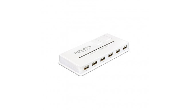 Delock USB 2.0 External Hub 10 Port