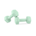 Spokey Monster dumbbells 2x 1 kg SPK-944049 (2x 1kg)
